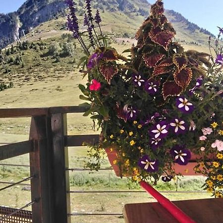 Studio Sur Les Pistes Bagnères-de-Bigorre Екстериор снимка